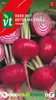 Rote Bete Chioggia Samen - ca. 3 gr | VT_933 Náhled obrázku produktu 1