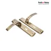 Two door handles with long plates, presented on a white background. Anteprima dell’immagine prodotto