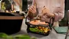 A person is using a multi-tiered rack to serve cooked salmon, asparagus, and potatoes. Produktbild-Vorschau