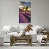 Bild auf Leinwand - Leinwandbild - Lavendel Berge Feld - Produktbild-Vorschau 6