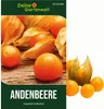 A split image showing a close-up of physalis fruits on a wooden surface on the left, and a few physalis fruits on a white background on the right. Produktbild-Vorschau