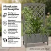 Mucola Rankgitter mit Pflanzkasten Spalier Blumenkasten Produktbild-Vorschau 3