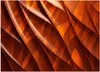 Vlies fototapete Orange 3D Textur 150x105 cm Feeby Orange Produktbild-Vorschau 3