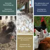 Petigi Urgesteinsmehl, Geflügeleinstreu Staubbad Sandbad, Produktbild-Vorschau 3