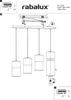 Rabalux 3156 Pendelleuchte 4 Spots Zelkova, E27, silber, Produktbild-Vorschau 4