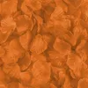 100 petali di rosa, arancio Anteprima dell’immagine prodotto 1