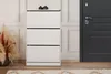 Skye Decor, SHC- SHCADR, Blanc, Armoires à chaussures, Voir les images du produit 1
