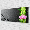 Acrylglasbilder 125x50 Wandbild Druck Bambusrohre Blume Produktbild-Vorschau 2