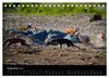 Whippets in Aktion (Tischkalender 2027 DIN A5 quer), Produktbild-Vorschau 11