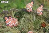 Eugy Clownfish, Animals, 6 lat(a) Podgląd zdjęcia produktu 9