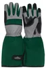 Dehner Rosen- & Strauchhandschuh, Gartenhandschuh, robust, Produktbild-Vorschau 2