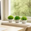 Relaxdays - Plantes artificielles, lot de 3, plantes Voir les images du produit 3