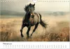 Wilde Mähnen: Ein Jahr mit Pferden (Wandkalender 2026 DIN Produktbild-Vorschau 5