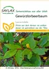 Artikelbild 1 von 'Gewürzlorbeerbaum' aus der Kategorie Exotische Samen Voir les images du produit