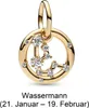 Pandora Sternzeichen Wassermann Charm-Anhänger 762717C01 Produktbild-Vorschau 5