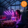 LED Pflanzenlampe 90W Vollspektrum mit 4 Köpfen, Produktbild-Vorschau 6