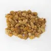 IGART Weiße Maulbeeren getrocknete 1KG Produktbild-Vorschau 3