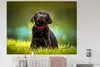 MuchoWow® - Selbstklebend - Fototapeten Produktbild-Vorschau 5
