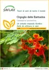 SAFLAX  - Orgoglio delle Barbados - 10 semi - Caesalpinia Anteprima dell’immagine prodotto 1