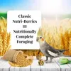 A cockatiel stands next to a bag of birdseed and two Nutri-Berries, with wheat fields in the background. Anteprima dell’immagine prodotto