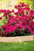 Woodygift Holz Rasenkante Beeteinfassung Gartenzaun Produktbild-Vorschau 7