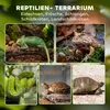 PawHut Terrarium für Reptilien Glasterrarium 24L Reptil Produktbild-Vorschau 4