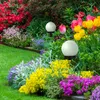 A garden path with colorful flowers and two solar garden lights. Produktbild-Vorschau