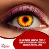 Zoelibat Eyecatcher 12 Monats-Kontaktlinsen Sun Produktbild-Vorschau 8