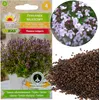 Nasiona ziół Tymianek właściwy zioła do ogrodu - Toraf 316 Podgląd zdjęcia produktu 5