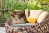 MuchoWow® Outdoor Kissen - Weltkarte - Vintage - Schwarz - Produktbild-Vorschau 3