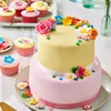 FunCakes Rollfondant Brilliant Weiß Vanille 12,5kg (5x Produktbild-Vorschau 3