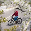 RCB G6 27,5 Zoll E-Bike, City Elektrofahrrad & E-Hollandrad Produktbild-Vorschau 10