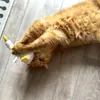 Aumüller Katzenspielzeug mit Baldrian - Gilbert Gans Produktbild-Vorschau 3