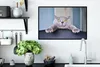 MuchoWow® MuchoWow® Gerahmtes Poster Katze - Angst - Stuhl Produktbild-Vorschau 3