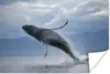 MuchoWow® Poster Wal, der aus dem Wasser springt 180x120 cm Produktbild-Vorschau 2