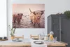 MuchoWow® Poster Schottische Highlander - Schnee - Sonne Produktbild-Vorschau 3