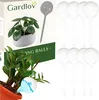 Kulki nawadniające - 8 szt. Gardłowa 21043 Podgląd zdjęcia produktu 14