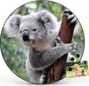 Design Stahlmagnettafel Schwarz Rund 47cm Koala Produktbild-Vorschau 7