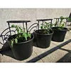 Three black tomato grower pots with tomato plants and supports are lined up on a stone patio against a textured wall. Produktbild-Vorschau
