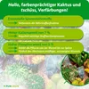 Purgrün Kakteendünger 1 Liter, Produktbild-Vorschau 3