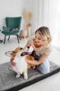 A woman is kneeling on a dog bed, petting her corgi. Produktbild-Vorschau