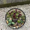 Jardinière ronde ventrue de 37 cm pour l'extérieur, noire Voir les images du produit 7