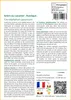 SAFLAX  - Arbre au caramel - 200 graines - Avec substrat - Voir les images du produit 3