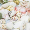 100g Smíšené plážové mušle Směs mořských mušlí Řemeslo Náhled obrázku produktu 3