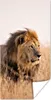 MuchoWow® Poster Löwe - Gras - Jagd 60x120 cm - Wandschmuck Produktbild-Vorschau 1