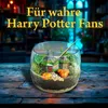Clementoni Clementoni Harry Potter - Terrarium 19248 Voir les images du produit 26