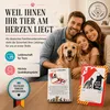 Calcomanías "HUND IST KÖNIG" (El perro es el rey), para Vista previa de la imagen del producto 8