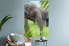 MuchoWow® - Sticker - Dekorfolie Produktbild-Vorschau 4
