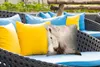 MuchoWow® Outdoor Kissen - Pferd - Strand - Mähne - 40x40 Produktbild-Vorschau 4