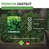 Zitronenmelisse  Samen - Melissa officinalis - Produktbild-Vorschau 9